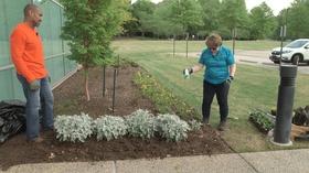 Video thumbnail: The Family Plot Planting Annuals & Purple Martins
