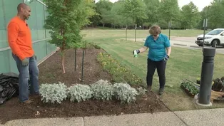 Planting Annuals & Purple Martins