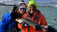 Walleye Fishing,Food Plots, Bragging Board