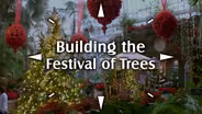 Building the Festival of Trees