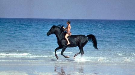 Video thumbnail: SATURDAY NIGHT CINEMA The Black Stallion WEB EXTRA
