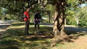Video thumbnail: Virginia Home Grown Peggy Singlemann visits with Arborists Jim Licklider