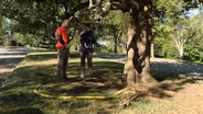 Peggy Singlemann visits with Arborists Jim Licklider
