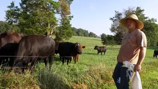 Preview | Farmer Mental Health and Suicide Prevention