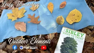 Leafy Terminology