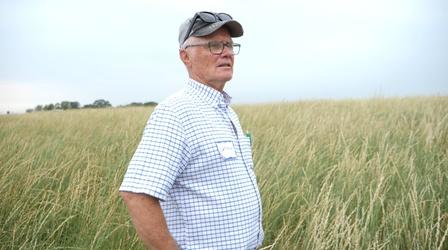 Video thumbnail: Compass Perennial Promise Growers Cooperative