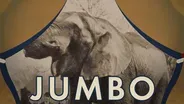 Jumbo: The Elephant