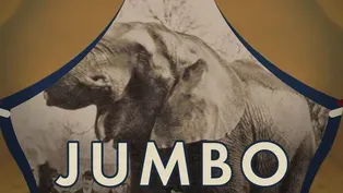 Jumbo: The Elephant