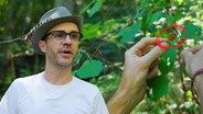 Foraging With the Founder of Watch Duty