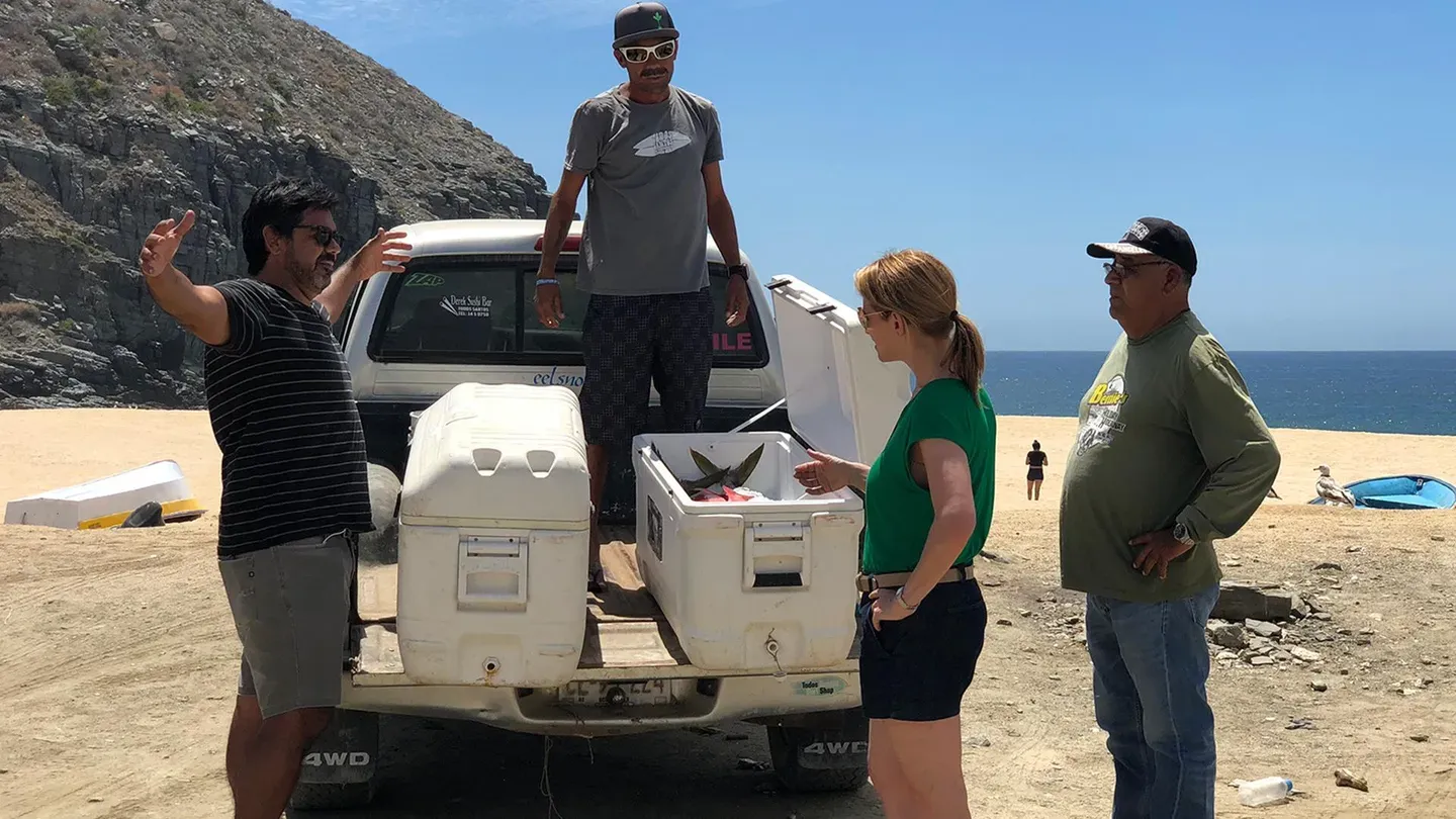 Road Trippin' with Javier Plascencia