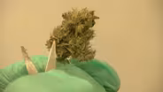 Advocates push for social justice in legalization bill