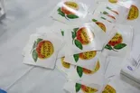 Voters in 5 states cast ballots in primary elections