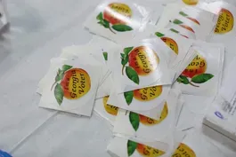 Voters in 5 states cast ballots in primary elections