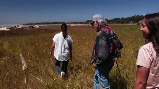Tribal Land Transfer