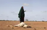 U.S. ambassador to UN calls for more aid to Somalia