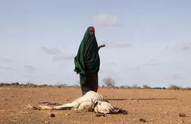 U.S. ambassador to UN calls for more aid to Somalia