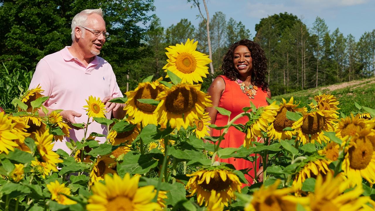 J Schwanke's Life In Bloom | Simply Flowers