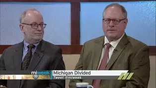 Michigan Divided