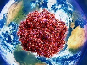 Meet the Enzyme Driving Photosynthesis