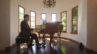 Daniel Levitin's Musical Mind