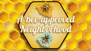 Bees are struggling but you can help them survive!!