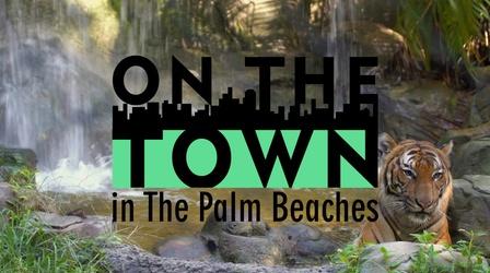 Video thumbnail: On The Town Palm Beach Zoo & Conservation Society