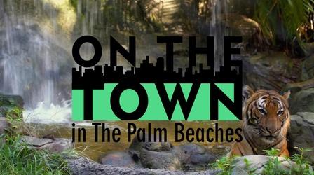 Video thumbnail: On The Town Palm Beach Zoo & Conservation Society