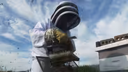 Betty's Bees and Her Mustard Business