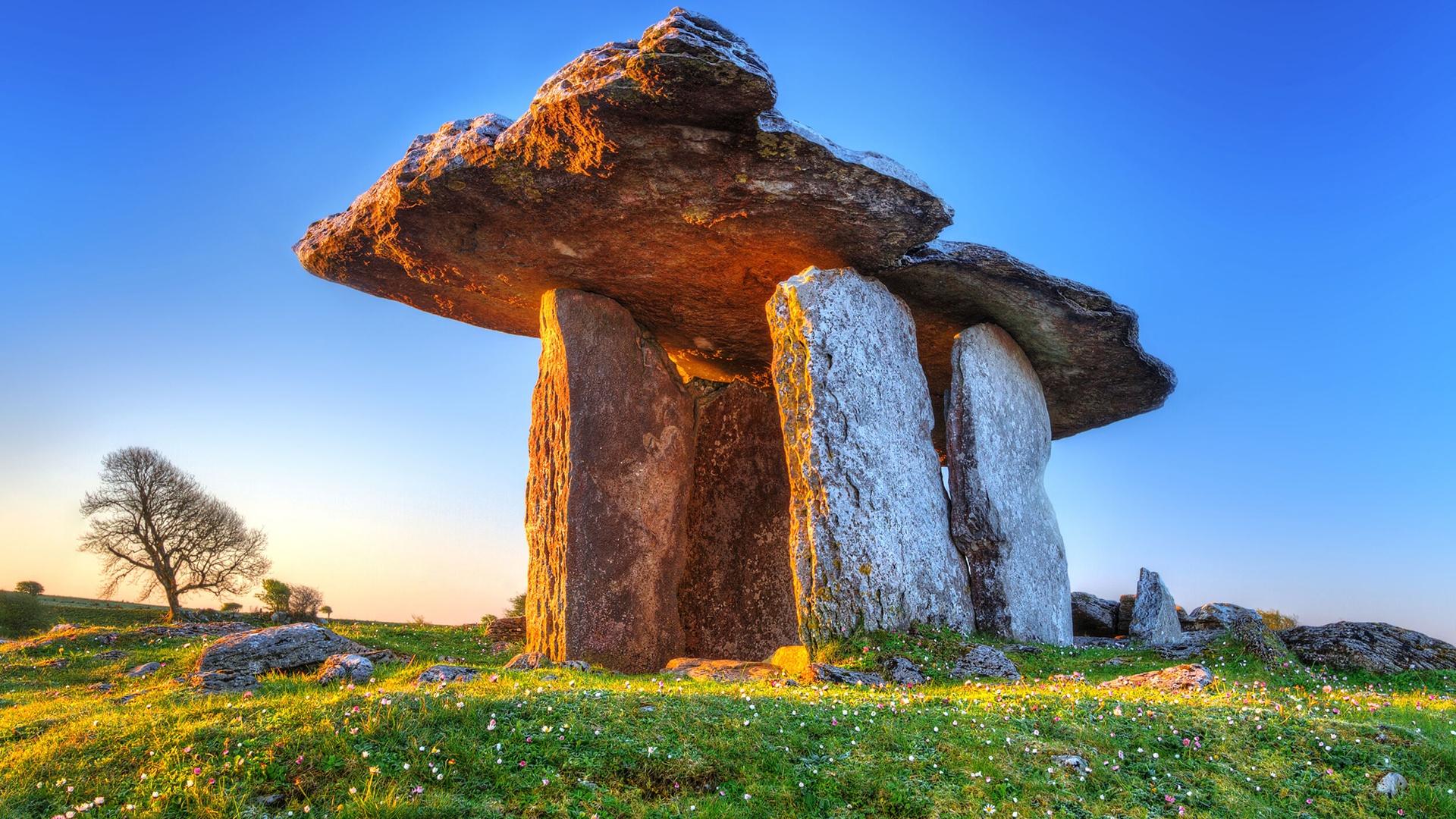 Stone slab structure in a magical meadow