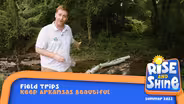 Keep Arkansas Beautiful