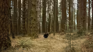 Truffles Are Hiding a Dirty Little Secret