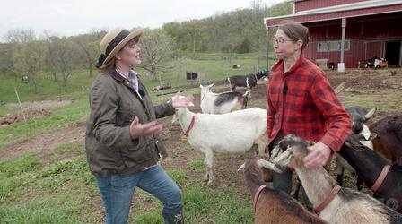 Video thumbnail: Around the Farm Table Goats in Wisconsin