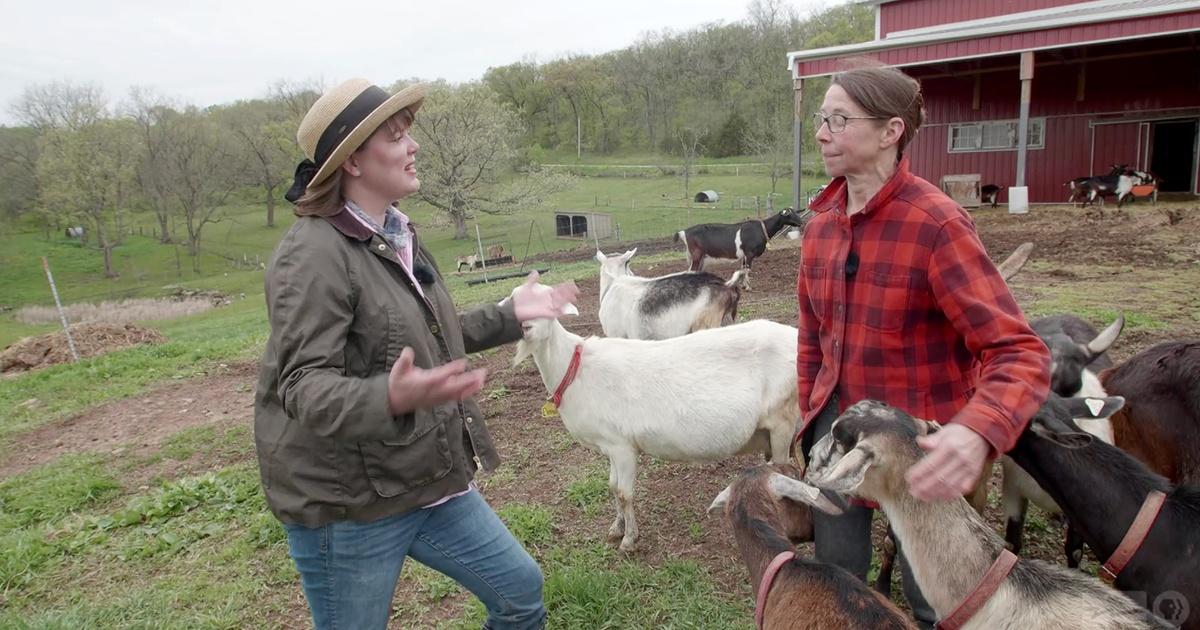 Goat Whisperer: Raising goats from farm, to show, to table - Brainerd  Dispatch