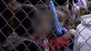 JUDGE: “UNITE FAMILIES NOW!” & TRUMP VICTORY