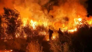 Nevada Wildfire: Risk and Prevention Promo
