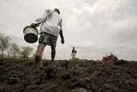 ndia’s struggling farmers find seeds of hope