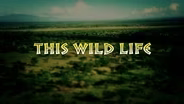 This Wild Life Promo