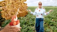 The Sweet South Florida Tradition: Knaus Berry Farm: | Legacy on a Plate