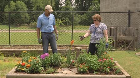 Video thumbnail: The Family Plot Planting a Butterfly Garden & Japanese Maples