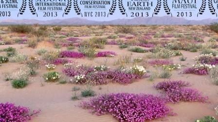 Video thumbnail: Arizona PBS Previews Desert Dreams promo