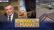 Market to Market - November 3, 2023