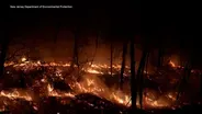 Forest Fire Service battles major wildfire on NJ-NY border