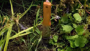 Editing Your Garden