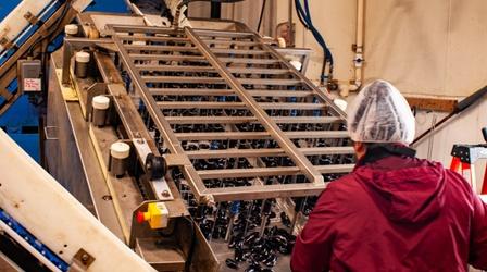 Video thumbnail: Adaptive Capacity American Mussel Harvesters | Rhody Wild Gardens