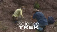 Dinosaurs: Dinosaurs in Idaho