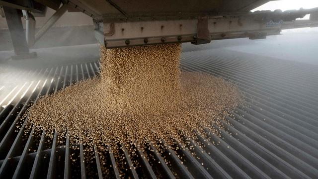 How China's boycott of American soybeans affects farmers