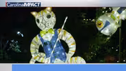 Mt. Holly Lantern Festival