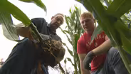202: What If: Root Research