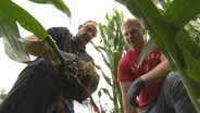 202: What If: Root Research