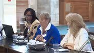 Senate testimony alleges 'crisis' at state nursing board